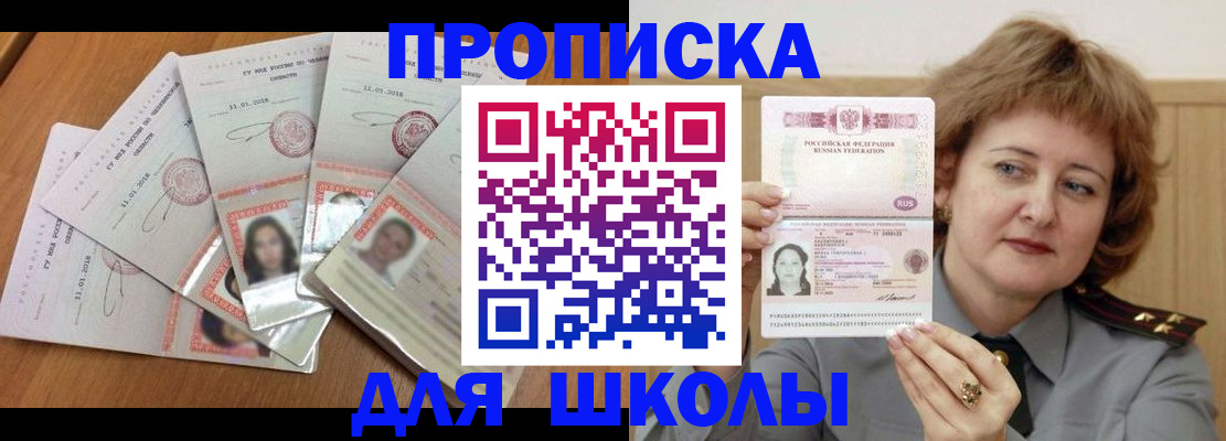 пропишу в квартире в Пионерском